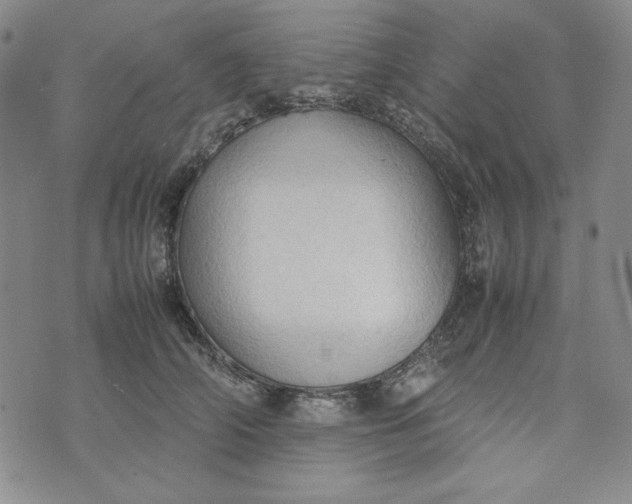 X0000074030706200609111714