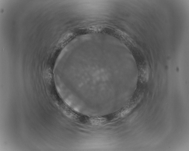 X0000074030707200609111714