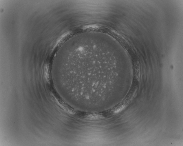 X0000074030708200609111714