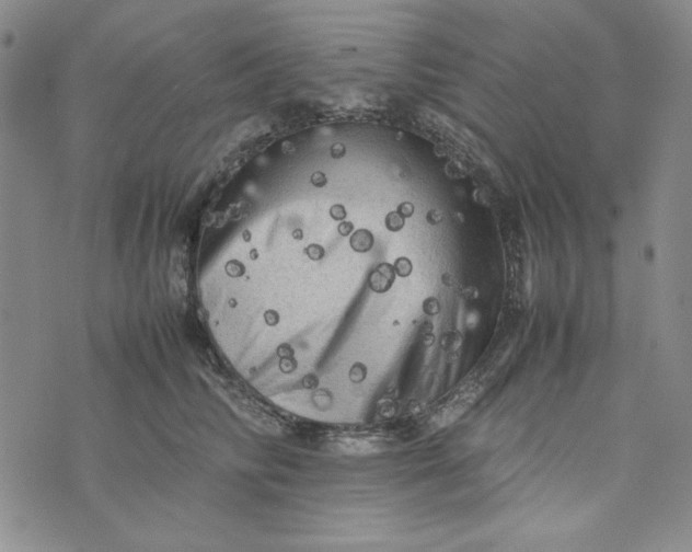 X0000074030710200609111714