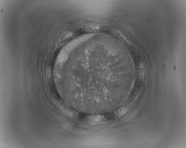 X0000074030711200609111714