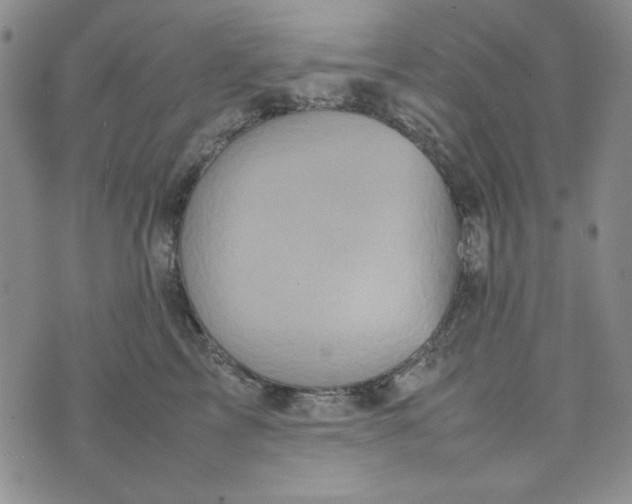 X0000074030713200609111714