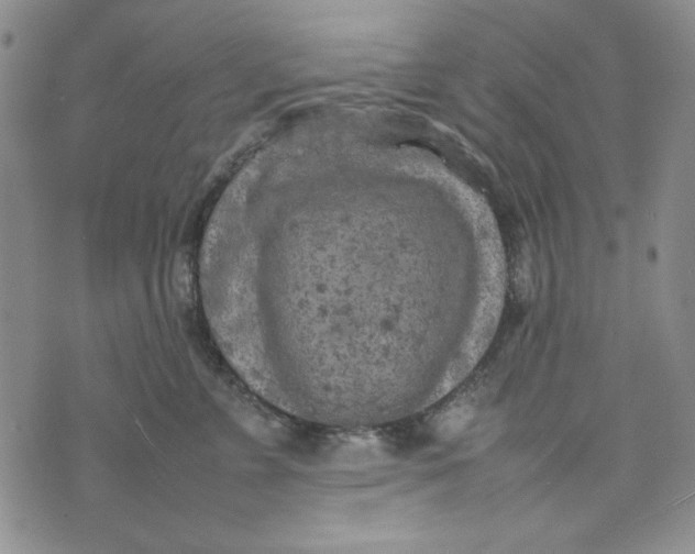 X0000074030715200609111714