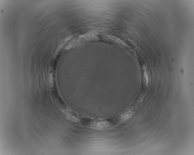 X0000074030716200609111714