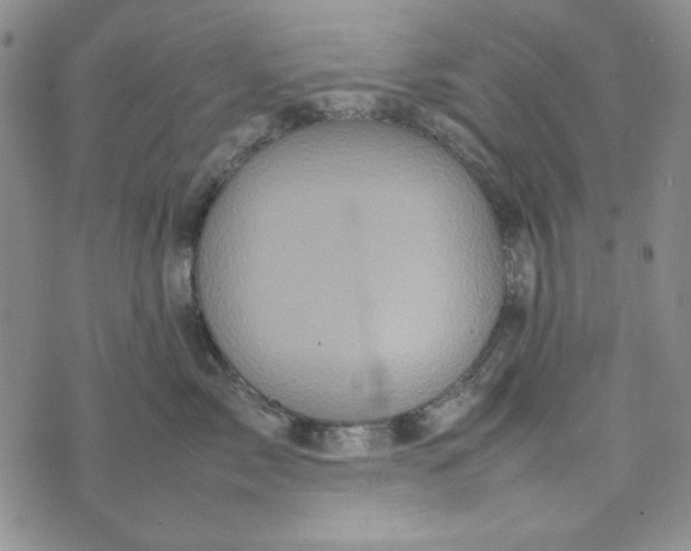 X0000074030717200609111714