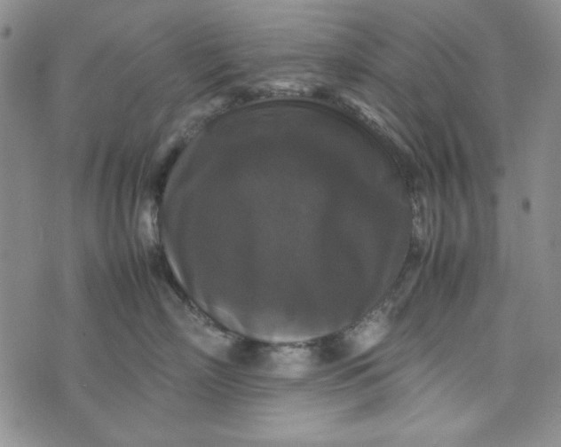 X0000074030718200609111714