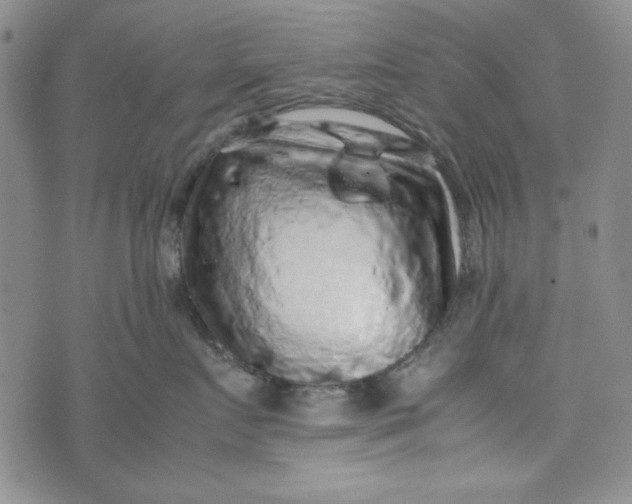 X0000074030719200609111714