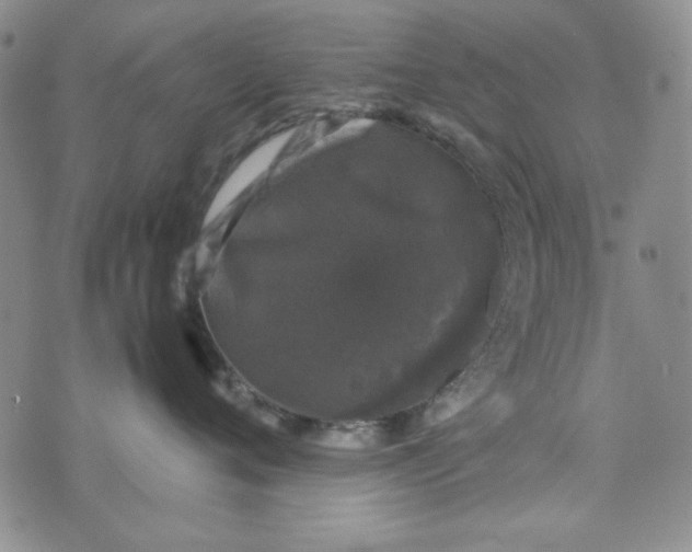 X0000074030720200609111714