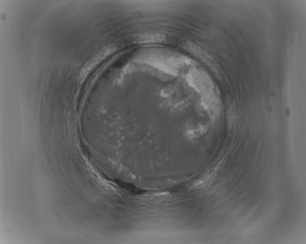 X0000074030721200609111713