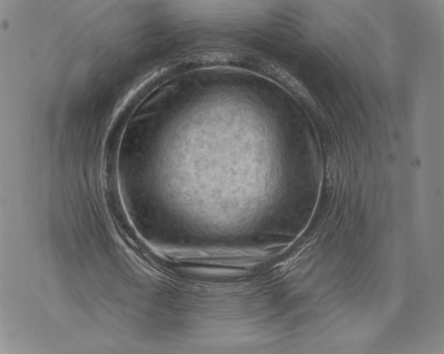 X0000074030722200609111713