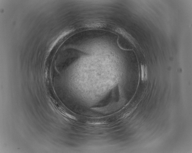 X0000074030723200609111713