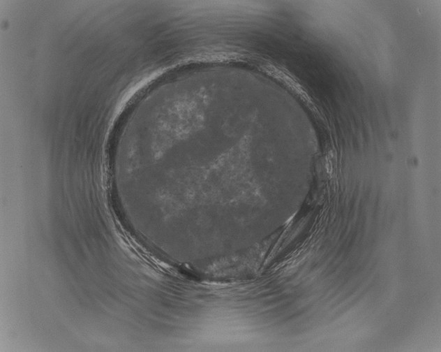 X0000074030724200609111713