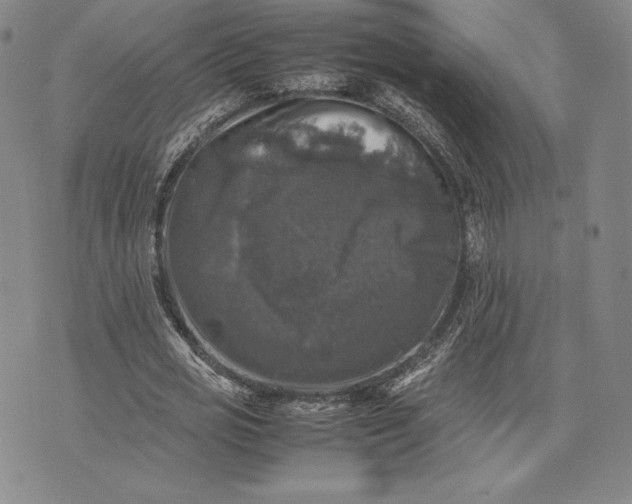 X0000074030725200609111713