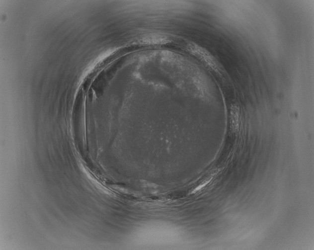 X0000074030726200609111713