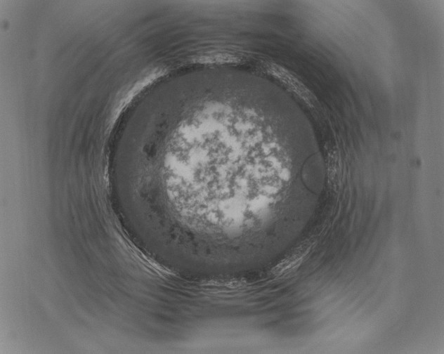 X0000074030727200609111713