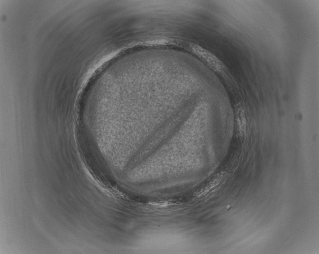 X0000074030728200609111713