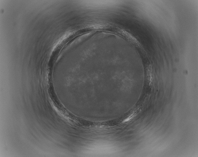 X0000074030730200609111713