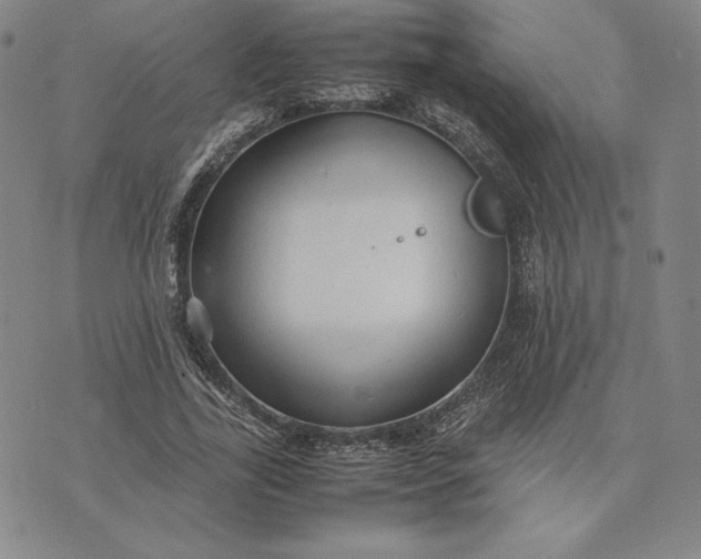 X0000074030731200609111713