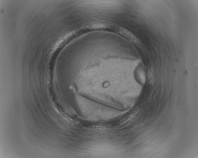 X0000074030732200609111713