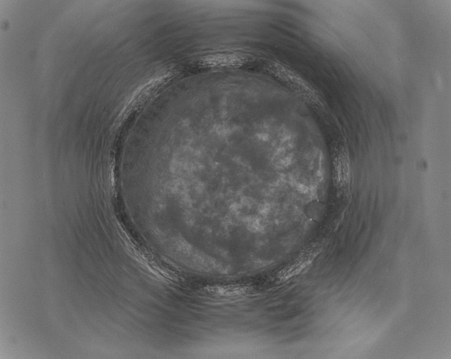 X0000074030733200609111713