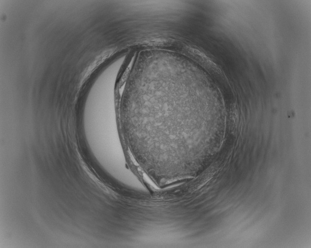 X0000074030734200609111713