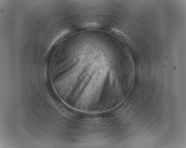 X0000074030735200609111713