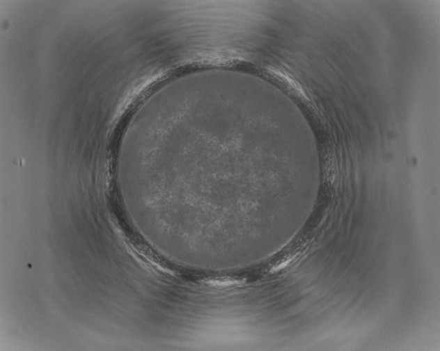 X0000074030736200609111713