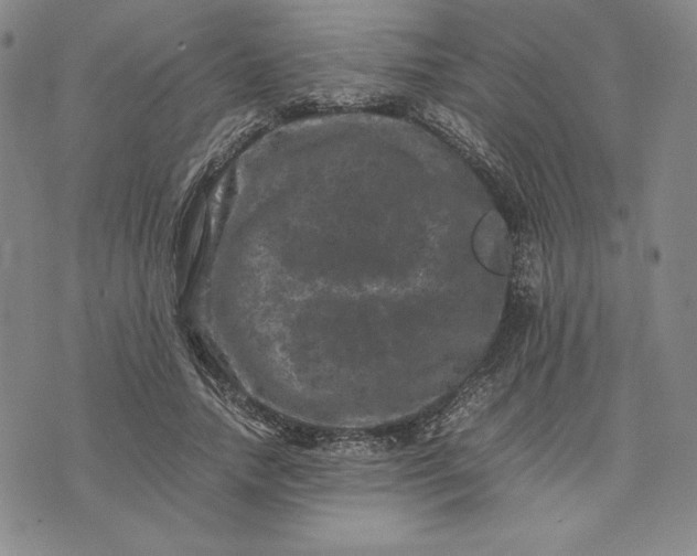 X0000074030738200609111713