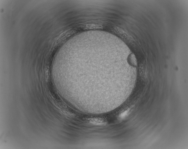 X0000074030741200609111713