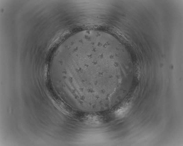 X0000074030742200609111713