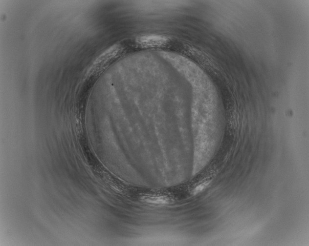 X0000074030743200609111713