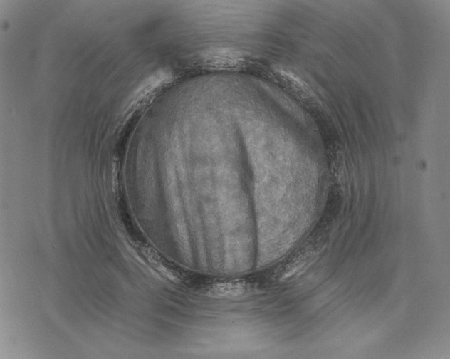 X0000074030744200609111713