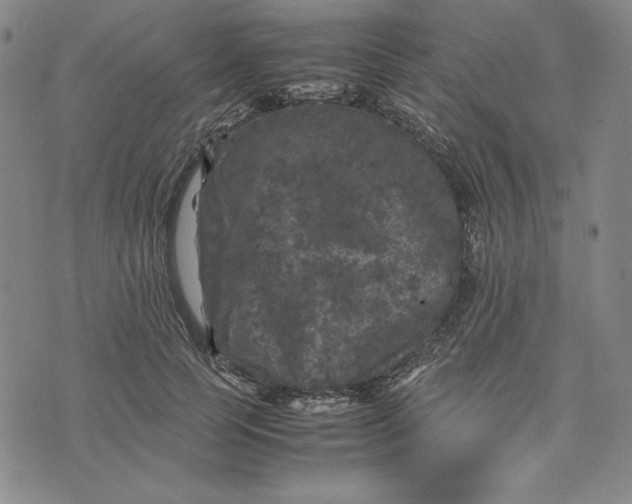 X0000074030745200609111713