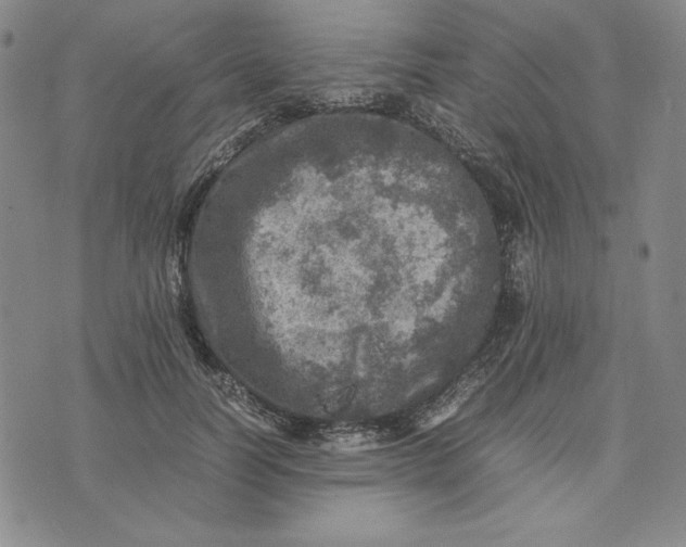 X0000074030746200609111713