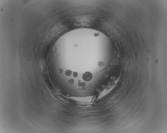 X0000074030747200609111713