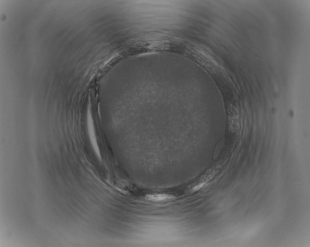 X0000074030748200609111713