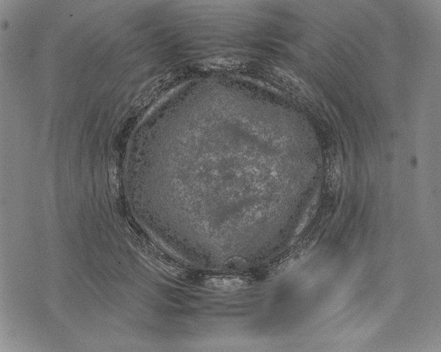 X0000074030749200609111713