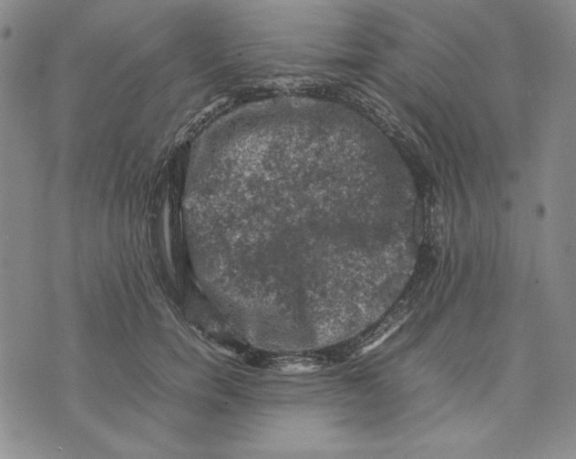 X0000074030750200609111713