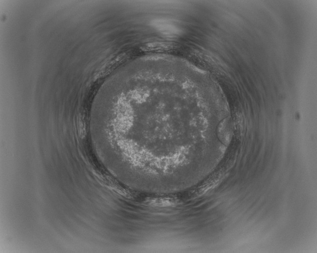 X0000074030751200609111713