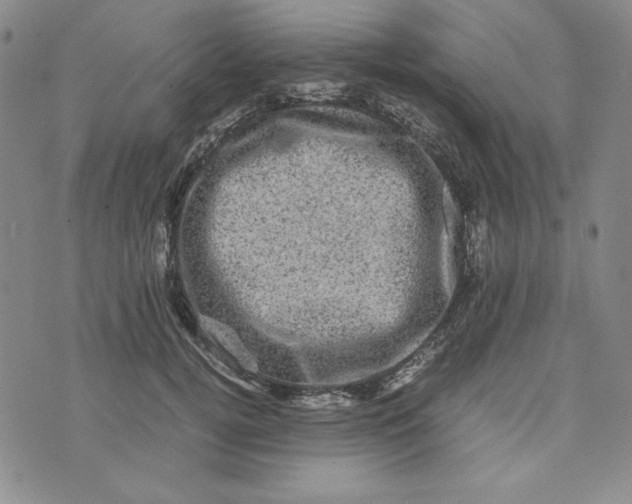 X0000074030752200609111713