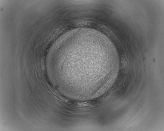 X0000074030753200609111713