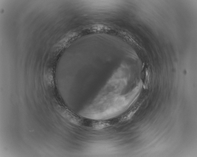 X0000074030754200609111713