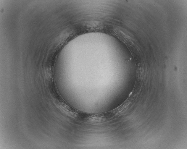 X0000074030756200609111713