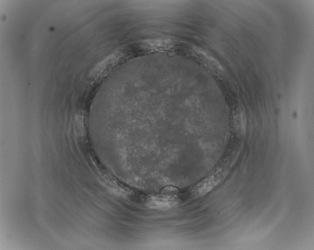 X0000074030757200609111713