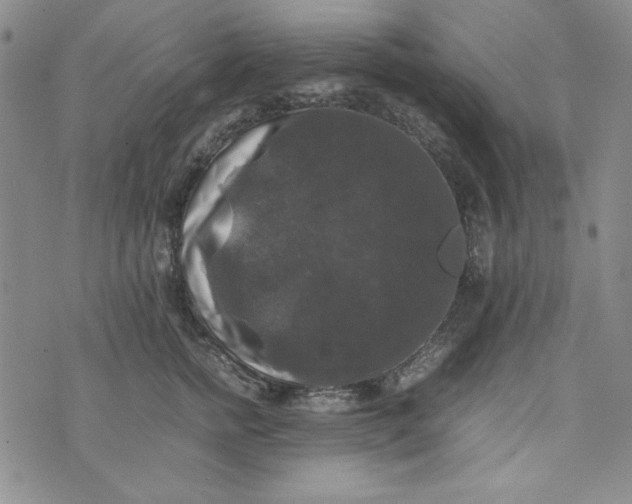 X0000074030758200609111713