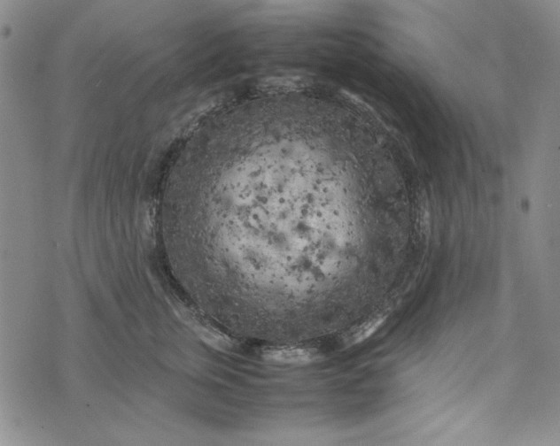 X0000074030759200609111713