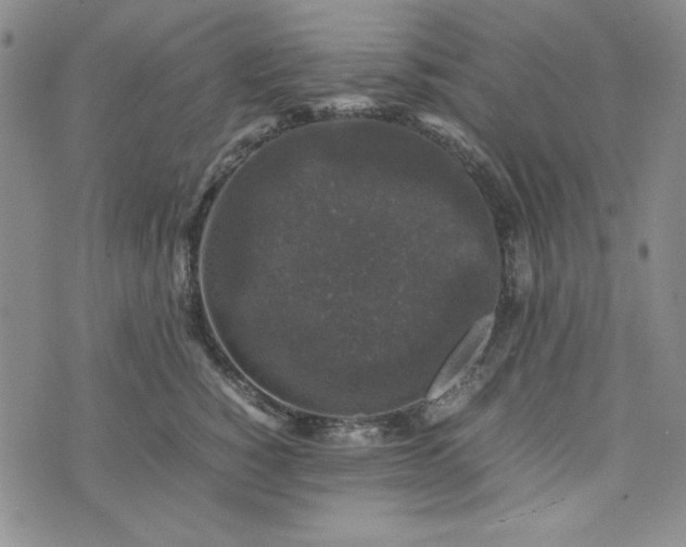 X0000074030760200609111713