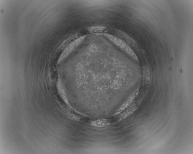 X0000074030761200609111713