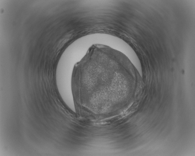 X0000074030762200609111713