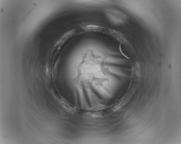 X0000074030763200609111713